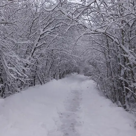 Lodge Kubko Bobrovník
